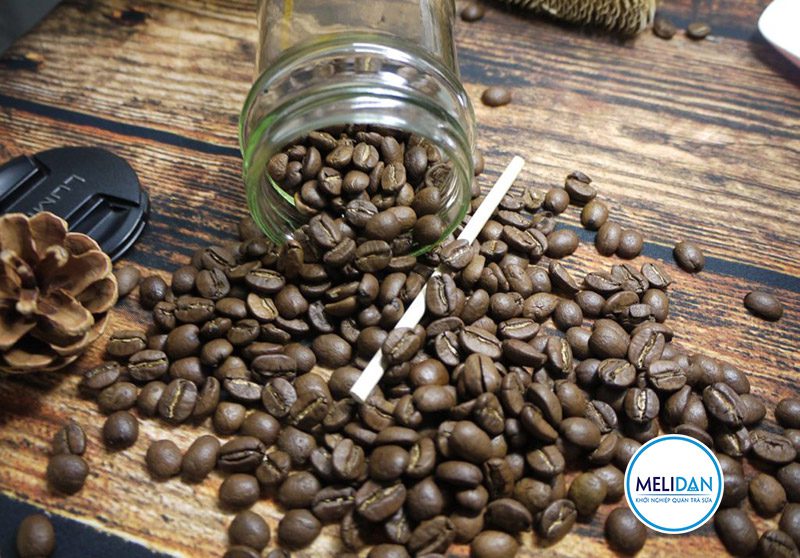 cà-phê-arabica-là-gì