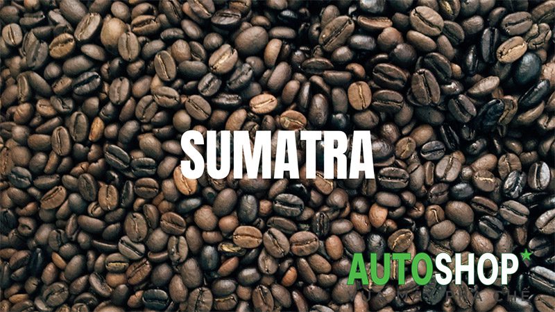 Cà-phê-Sumatra