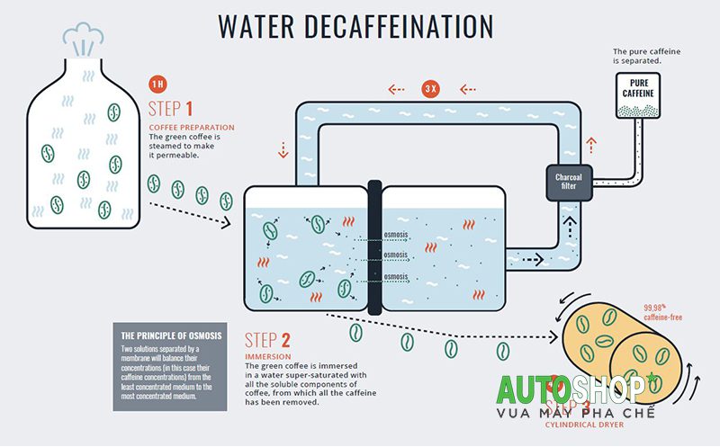cà-phê-khử-caffeine